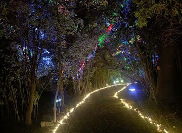 new-zealand/timaru/attraction/illuminate-light-and-sound-experience-timaru