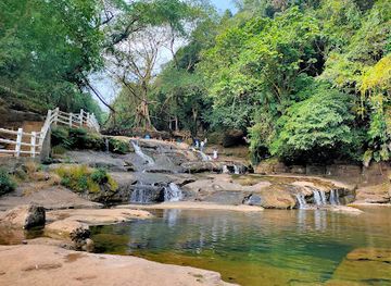 india/meghalaya/attraction/living-root-bridge-riwai-village