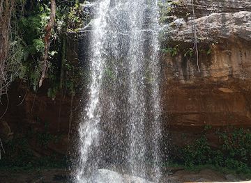 kenya/diani-beach/attraction/alfred-safaris