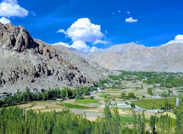 india/leh-ladakh/attraction/phyang-monastery