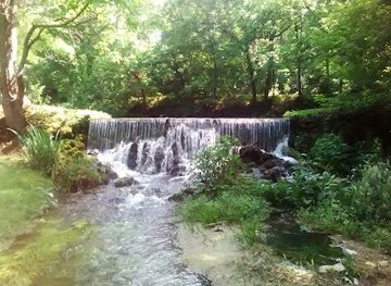 missouri/johnson-s-shut-ins-state-park/attraction/reeds-spring-mill