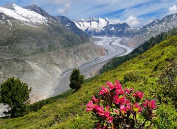 switzerland/jungfrau-region/attraction/jungfrau-aletsch-bietschhorn