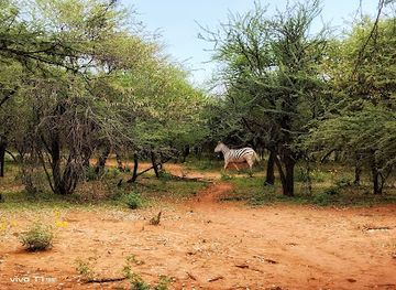 botswana/moremi-game-reserve/attraction/gaborone-game-reserve