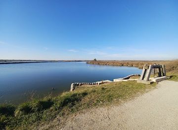 france/aquitaine-coast/attraction/the-domain-of-certes-graveyron