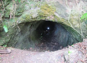 micronesia/pohnpei-island/attraction/japanese-caves-at-tonoas-highest-peak