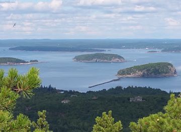 maine/mount-desert-island/attraction/wild-gardens-of-acadia