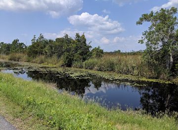 alabama/alabama-coastal-birding-trail/attraction/hugh-s-branyon-backcountry-trail-rosemary-dunes-trailhead