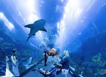 united-arab-emirates/sharjah/attraction/dubai-aquarium-underwater-zoo