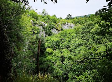 slovenia/skocjan-caves/attraction/rodiska-jama
