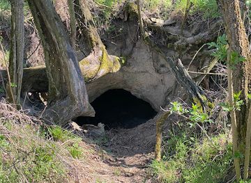 hungary/southern-great-plain/attraction/birkaleso-barlang