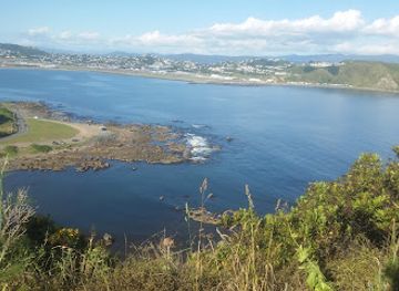 new-zealand/west-coast/attraction/taputeranga-viewpoint-studio