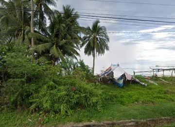 philippines/siquijor/attraction/calalinan-beach