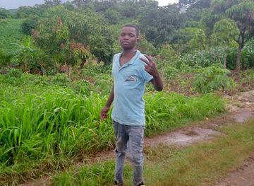 malawi/blantyre/attraction/limbani-garden
