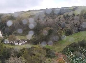 isle-of-man/port-st-mary/attraction/snaefell-mountain-railway-laxey