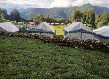 india/chopta/attraction/chopta-buzz-eco-camp-resort