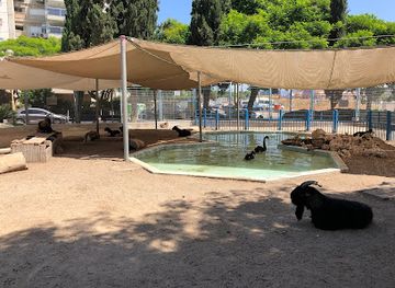 israel/holon/attraction/petting-zoo