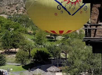 california/san-diego-county/attraction/balloon-safari