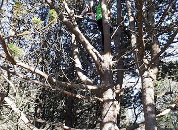 iceland/kopavogur/attraction/magnusarlundur