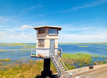 zambia/kasanka-bat-forest/attraction/mokrady-bangweulu