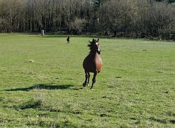 slovakia/zemplinska-sirava/attraction/skalka