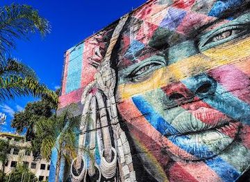 brazil/rio-de-janeiro/attraction/etnias-mural-de-graffiti-estudio-kobra