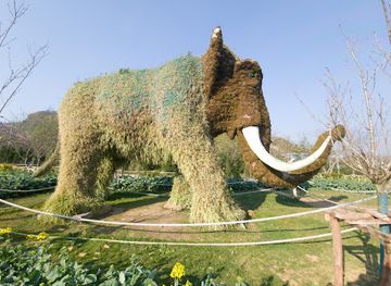 vietnam/sapa/attraction/elephant