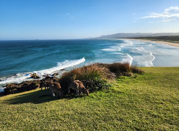 australia/mid-north-coast/attraction/look-at-me-now-headland-walk