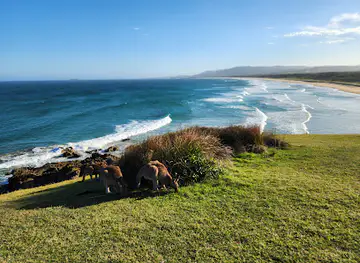 Look At Me Now Headland walk