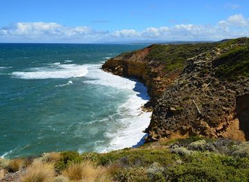 australia/great-ocean-road/attraction/point-addis-boardwalk