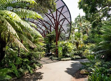 australia/sydney/attraction/the-sydney-fernery