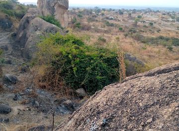 zambia/chimfunshi-wildlife-orphanage/attraction/kapisha-mountain