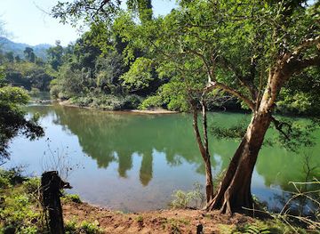 laos/golden-triangle/attraction/the-gibbon-experience