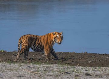 india/kaziranga-national-park/attraction/jeep-safari-elephant-safari-rooms-booking