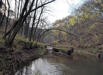 iowa/great-river-road/attraction/brush-creek-canyon-state-preserve