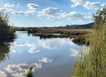 australia/canberra/kingston/attraction/fulica