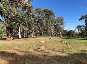 Cleland National Park