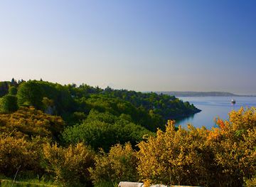 washington/the-blue-mountains/attraction/magnolia-bluff