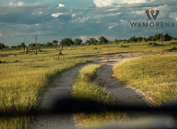 botswana/moremi-game-reserve/attraction/third-bridgedgses-xomae-camp-sites