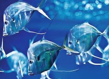 germany/potsdam/attraction/aquarium-berlin