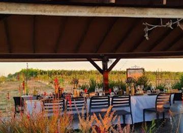 israel/modi-in/attraction/bravdo-winery