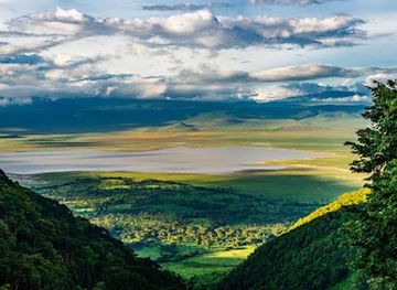 tanzania/arusha/attraction/safaris-africa-united