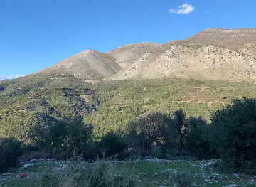 Hundecova