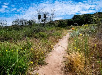 california/laguna-beach/attraction/james-dilley-greenbelt-preserve