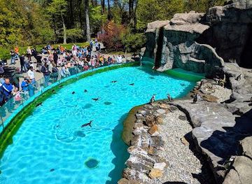 poland/krakow/attraction/krakow-zoo