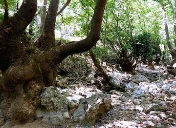 greece/chania/attraction/diktamos-gorge