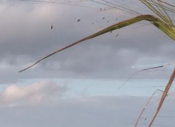 mauritius/belle-mare/attraction/blue-lake-lagoon