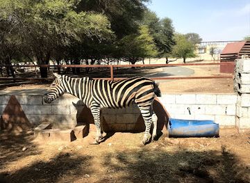 qatar/al-sheehaniya/attraction/al-dosari-zoo-and-game-reserve