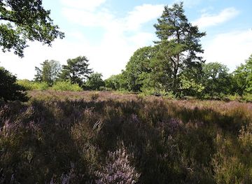 belgium/genk/attraction/heide-natuur