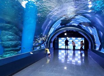 japan/tokyo/attraction/maxell-aqua-park-shinagawa