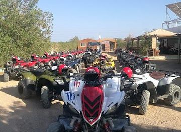 egypt/sharm-el-sheikh/attraction/square-safari